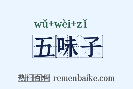 五味子是什么意思的图片